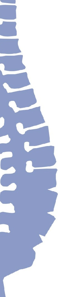 spine image